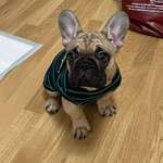 Ersteller:in Anastasia Profilbild