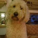 Ersteller:in Roswita Profilbild