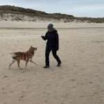 Ersteller:in Ramona Profilbild