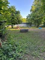 Hundeauslaufgebiet-Hundewiese Maarviertel-Bild