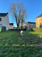 Hundeauslaufgebiet-Hunde Auslauf Nord-Bild