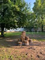 Hundeauslaufgebiet-Hundewiese Maarviertel-Bild