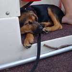 Ersteller:in Claudia Profilbild