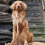 Ersteller:in Petra Profilbild