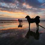 Ersteller:in Nana Profilbild