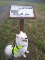 Hundeauslaufgebiet-Wölfersheim-Bild