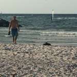 Hundestrand-Heidkate Hundestrand-Bild