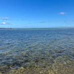 Hundestrand-Laboe-Bild