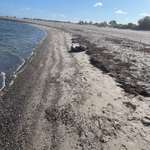 Hundestrand-Laboe-Bild