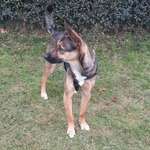 Ersteller:in Ka Profilbild