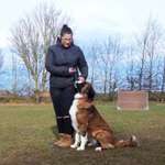 Ersteller:in Leoni Profilbild