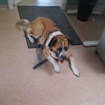 Ersteller:in Anne-Katrin Profilbild