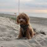 Ersteller:in Jule Profilbild