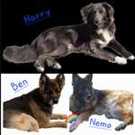 Ersteller:in Angelika Profilbild