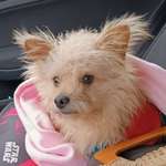 Ersteller:in Michaela Profilbild