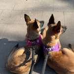 Ersteller:in Jan Profilbild