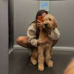 Ersteller:in fini Profilbild