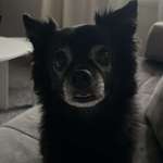 Ersteller:in Gundela Profilbild