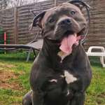 Ersteller:in derya Profilbild