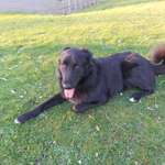 Ersteller:in Karina Profilbild