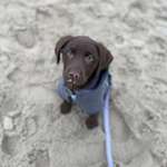 Ersteller:in André Profilbild