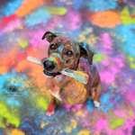 Ersteller:in Lara Profilbild