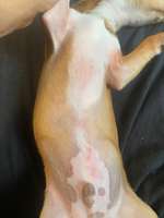 Was könnte das sein?-Beitrag-Bild