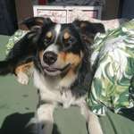 Ersteller:in Elena Profilbild