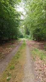 Hundeauslaufgebiet-Am Kanal-Bild