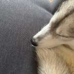 Kahle Stelle an Nase-Beitrag-Bild