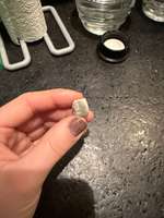 Könnte das Giftköder sein?-Beitrag-Bild