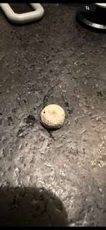 Könnte das Giftköder sein?-Beitrag-Bild