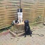 Ersteller:in Jens Profilbild