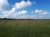 Hundeauslaufgebiet-Neubiberg-Bild