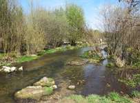 Hundeauslaufgebiet-Neubiberg-Bild