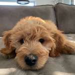 Ersteller:in Kathrin Profilbild