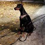 Ersteller:in Burak Profilbild