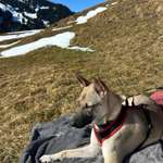 Ersteller:in Sabrina Profilbild