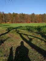 Hundeauslaufgebiet-Hameln Holtensen-Bild