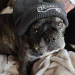 Ersteller:in Claudia Profilbild