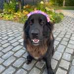 Ersteller:in Stefan Profilbild