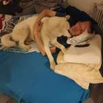 Ersteller:in Marcus Profilbild