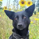 Ersteller:in Vera Profilbild