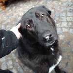 Ersteller:in Jacky und Profilbild