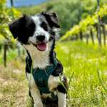 Ersteller:in Jess Profilbild