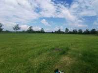 Hundeauslaufgebiet-Flughafen-Bild