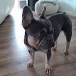 Ersteller:in Joy Profilbild