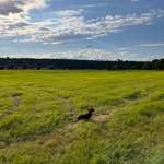 Ersteller:in Joe-Anne Profilbild