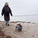 Ersteller:in Joe-Anne Profilbild