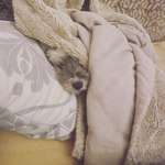 Ersteller:in Robert Profilbild